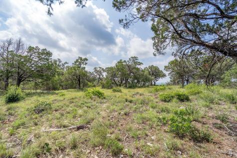 19705 Tyler Trail Jonestown TX 78645