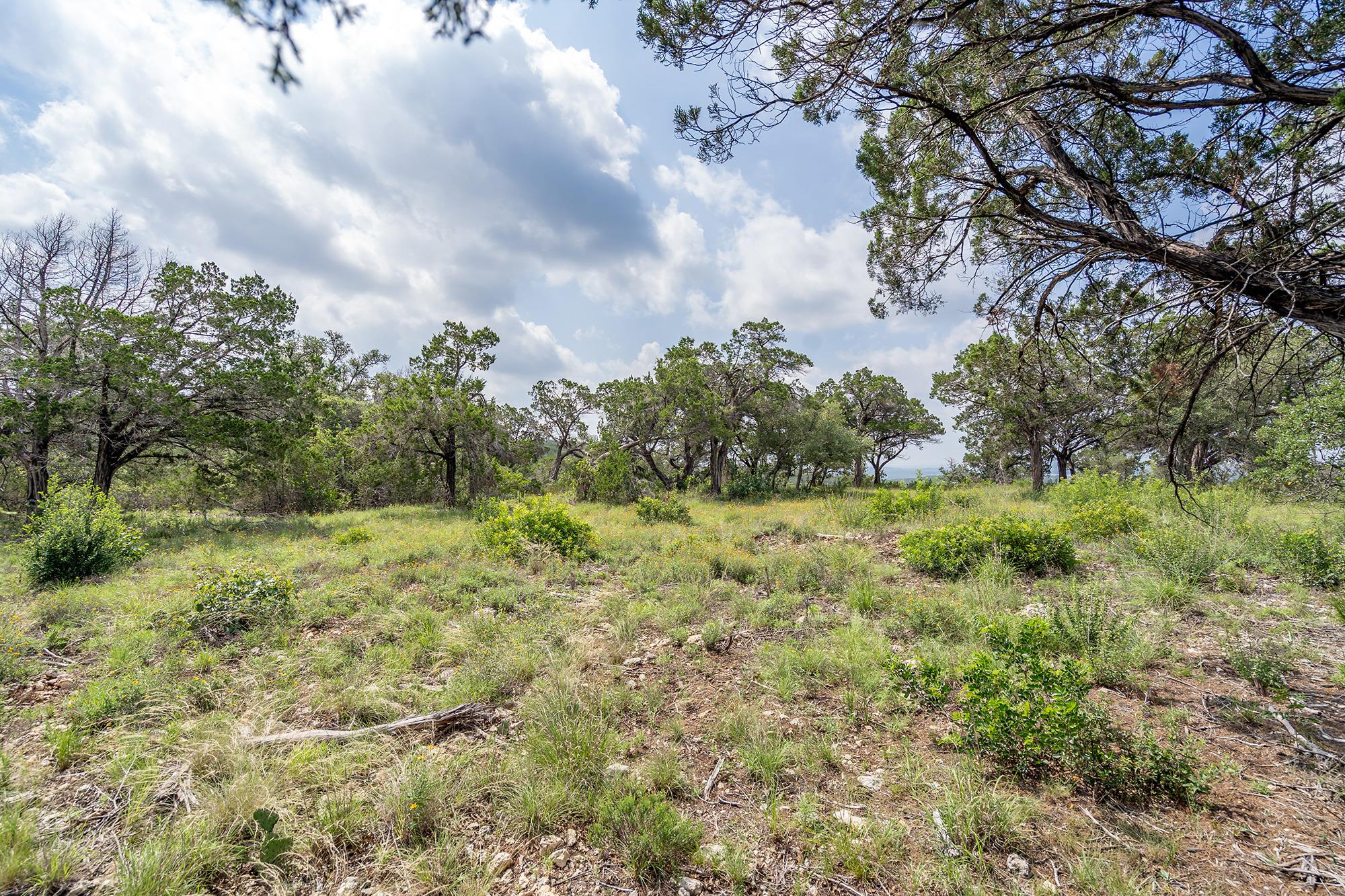 19705 Tyler Trail Jonestown TX 78645