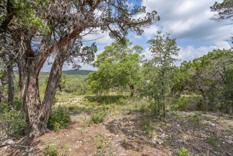 19705 Tyler Trail Jonestown TX 78645