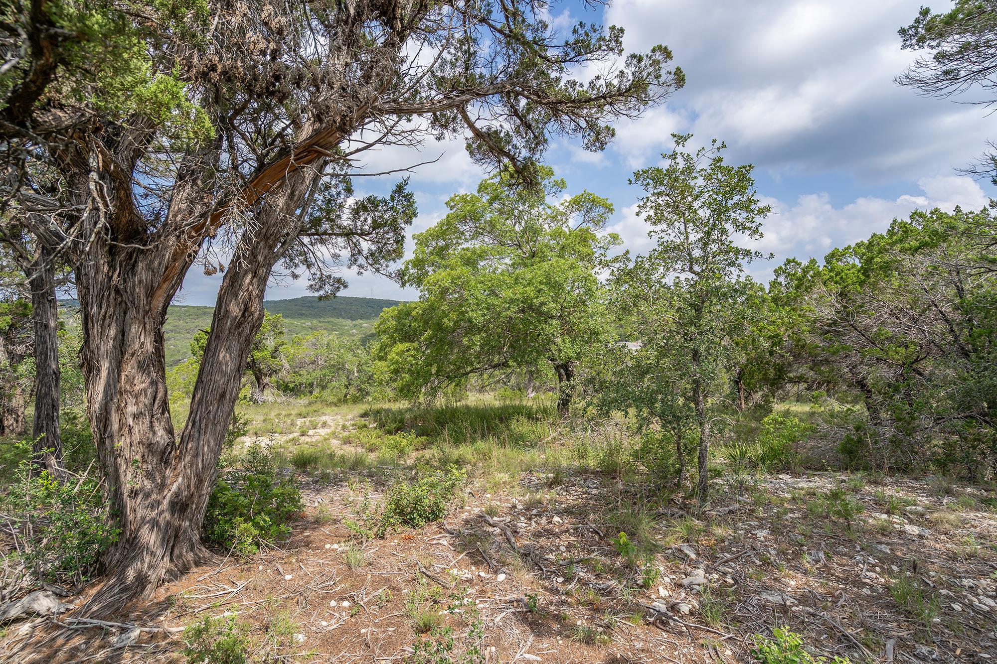 19705 Tyler Trail Jonestown TX 78645