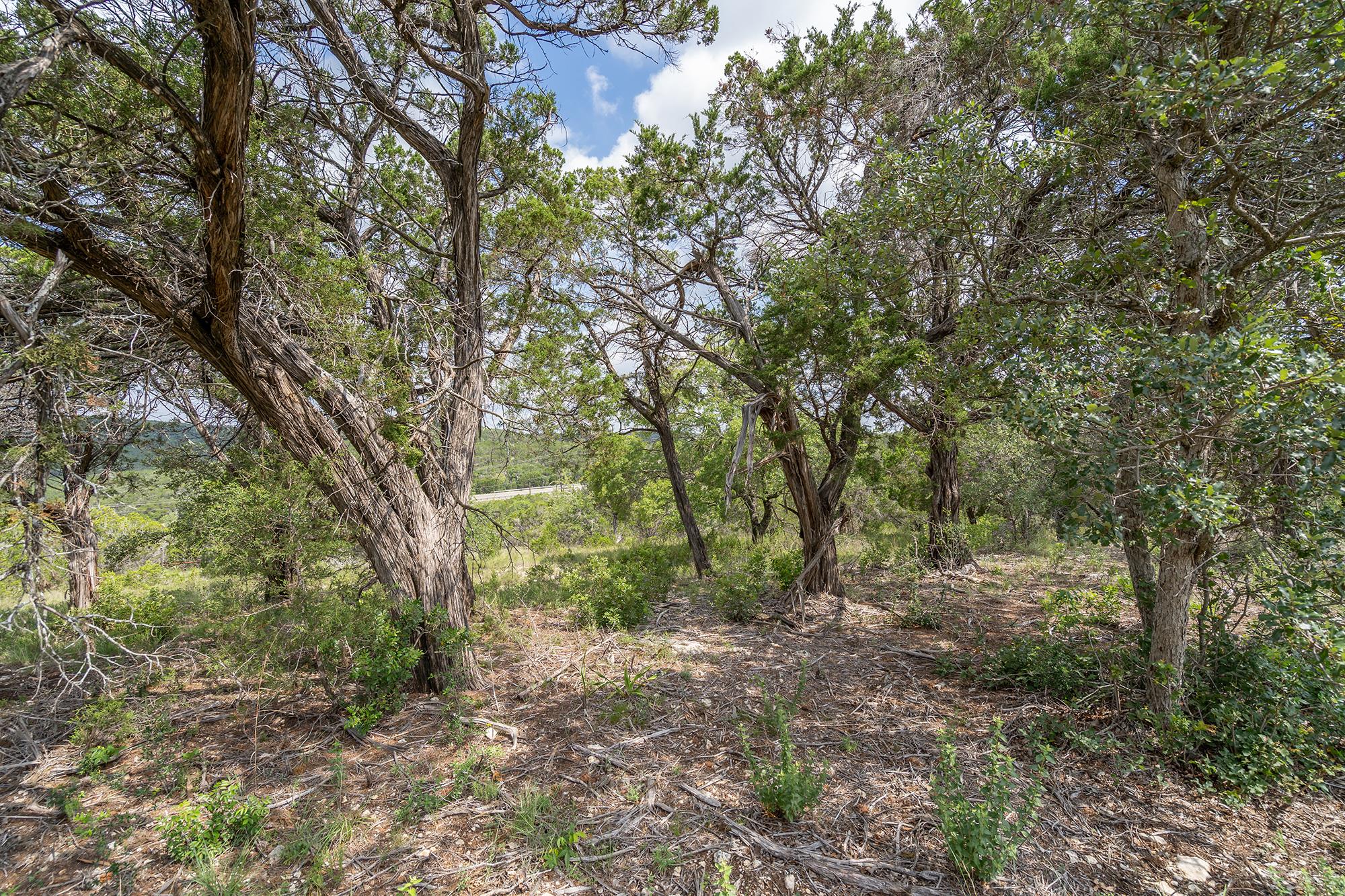 19705 Tyler Trail Jonestown TX 78645