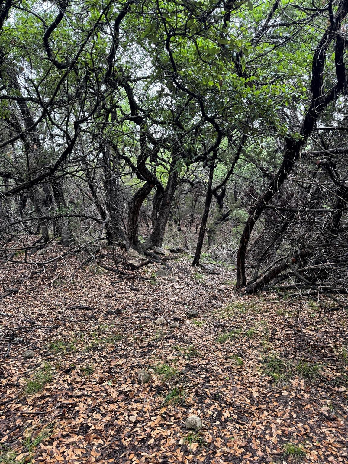 N/a Windy Hills Road Dripping Springs TX 78620