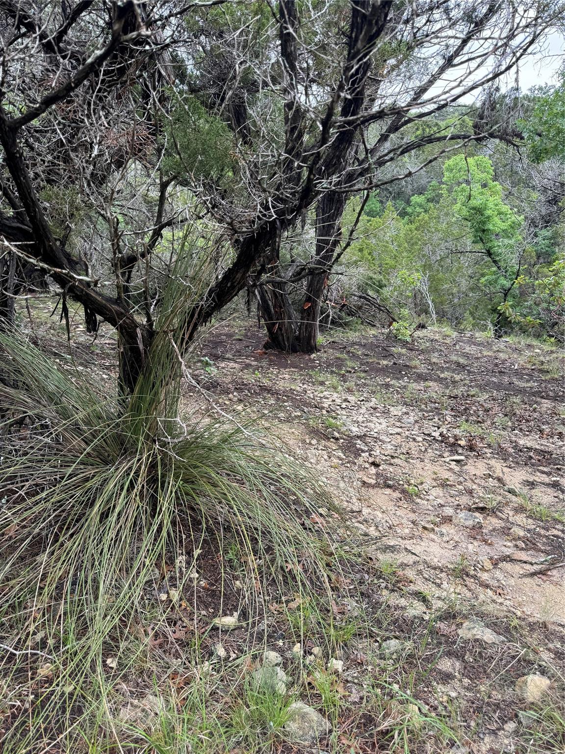 N/a Windy Hills Road Dripping Springs TX 78620
