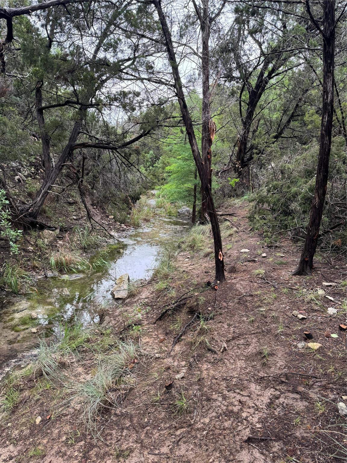 N/a Windy Hills Road Dripping Springs TX 78620