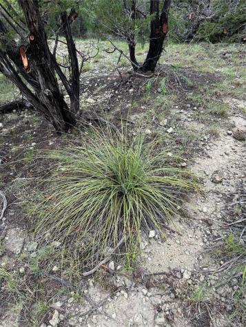 N/a Windy Hills Road Dripping Springs TX 78620