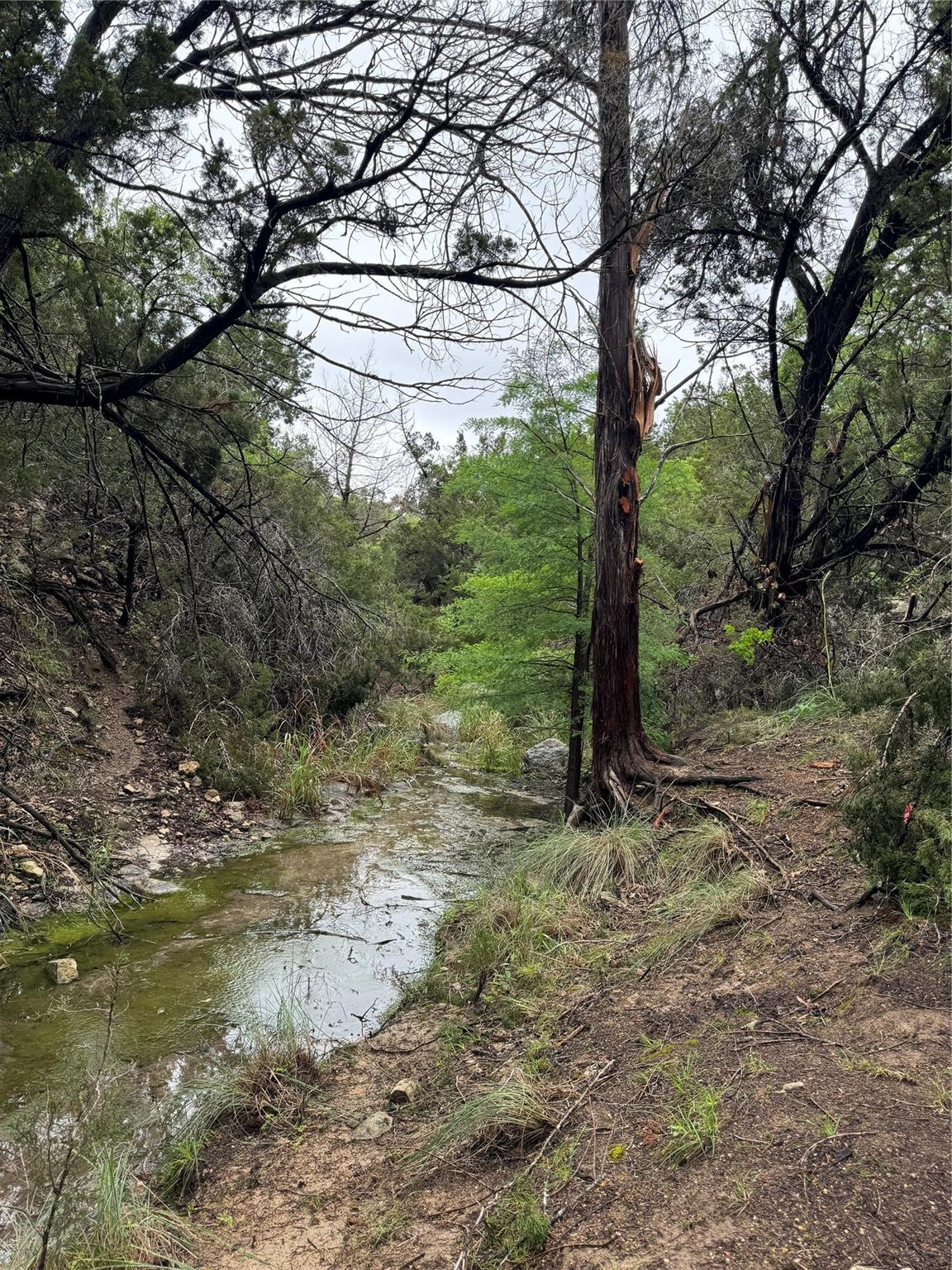 N/a Windy Hills Road Dripping Springs TX 78620