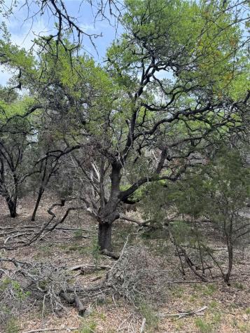 N/a Windy Hills Road Dripping Springs TX 78620
