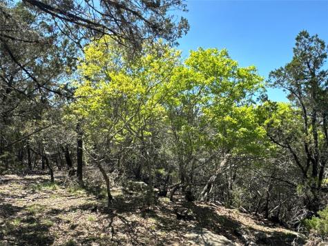 N/a Windy Hills Road Dripping Springs TX 78620