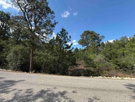 Lot 1199 Wahane Lane Bastrop TX 78602