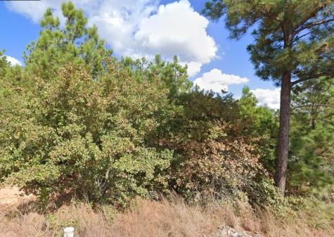 Tbd Makaha Street Bastrop TX 78602