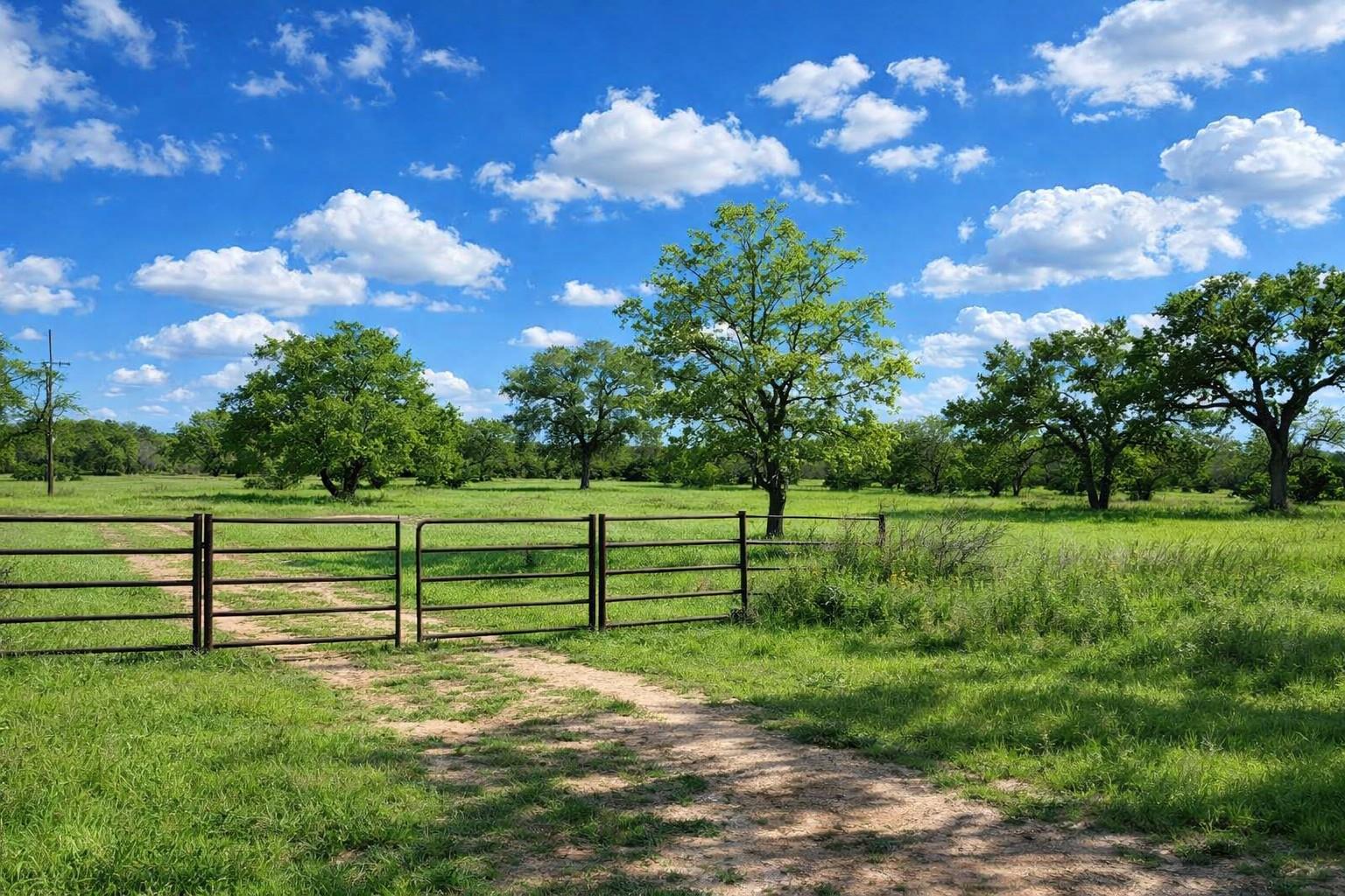 3809 Mormon Mill Road Marble Falls TX 78654