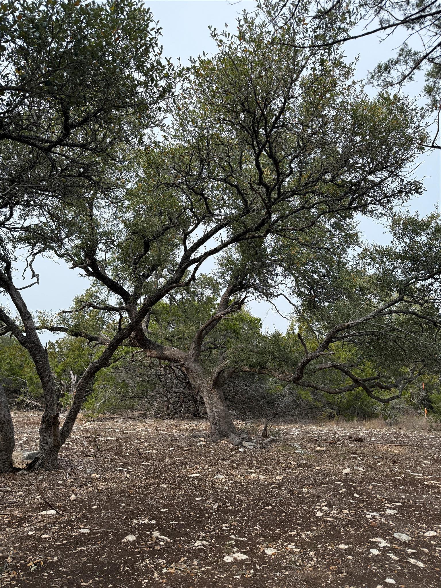 Tract 2 Pump Station Road Wimberley TX 78676