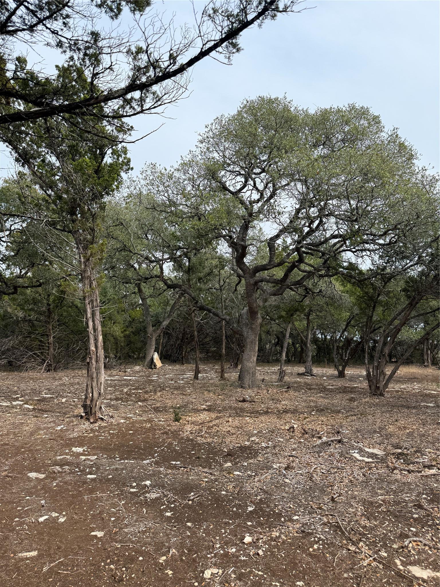Tract 2 Pump Station Road Wimberley TX 78676