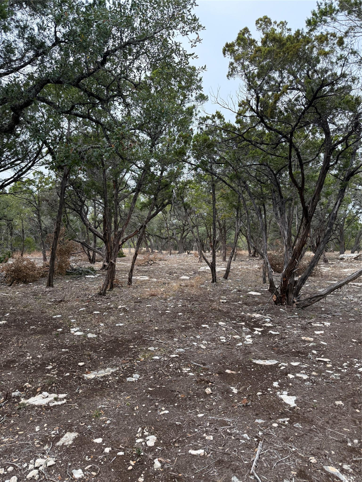 Tract 2 Pump Station Road Wimberley TX 78676
