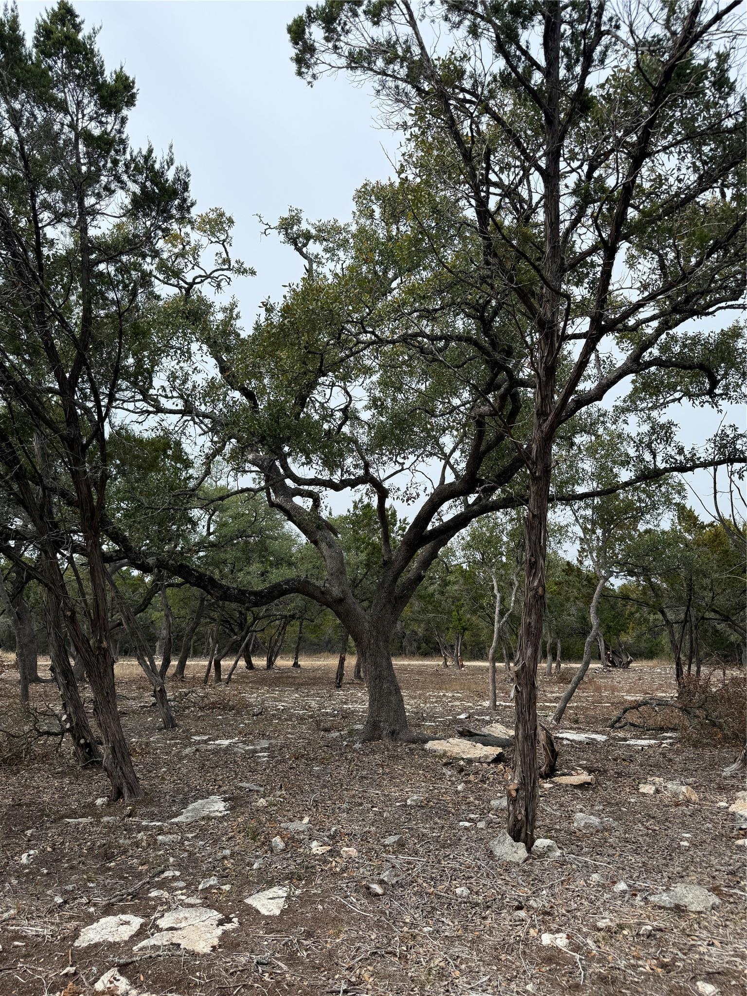 Tract 2 Pump Station Road Wimberley TX 78676
