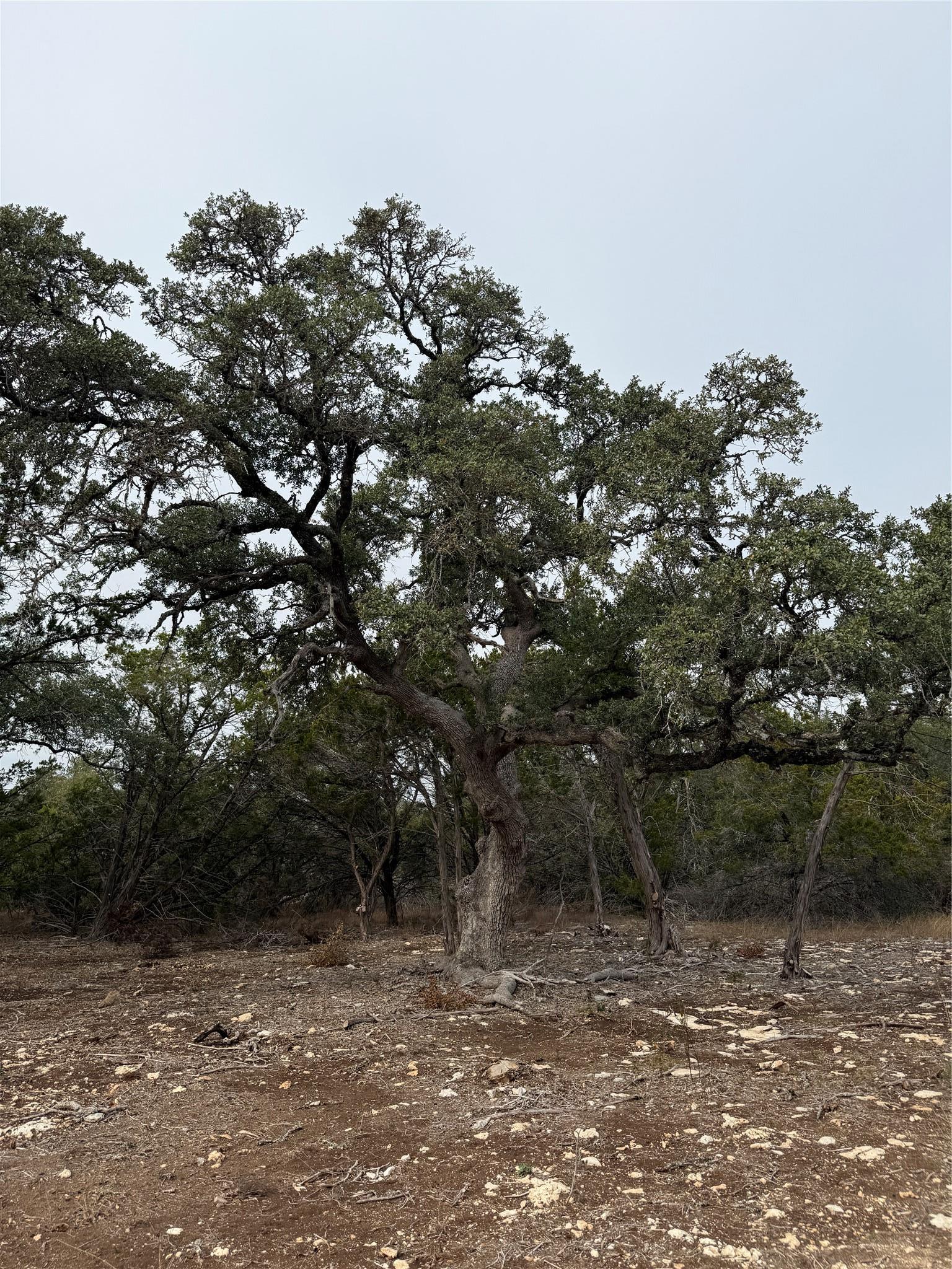 Tract 2 Pump Station Road Wimberley TX 78676