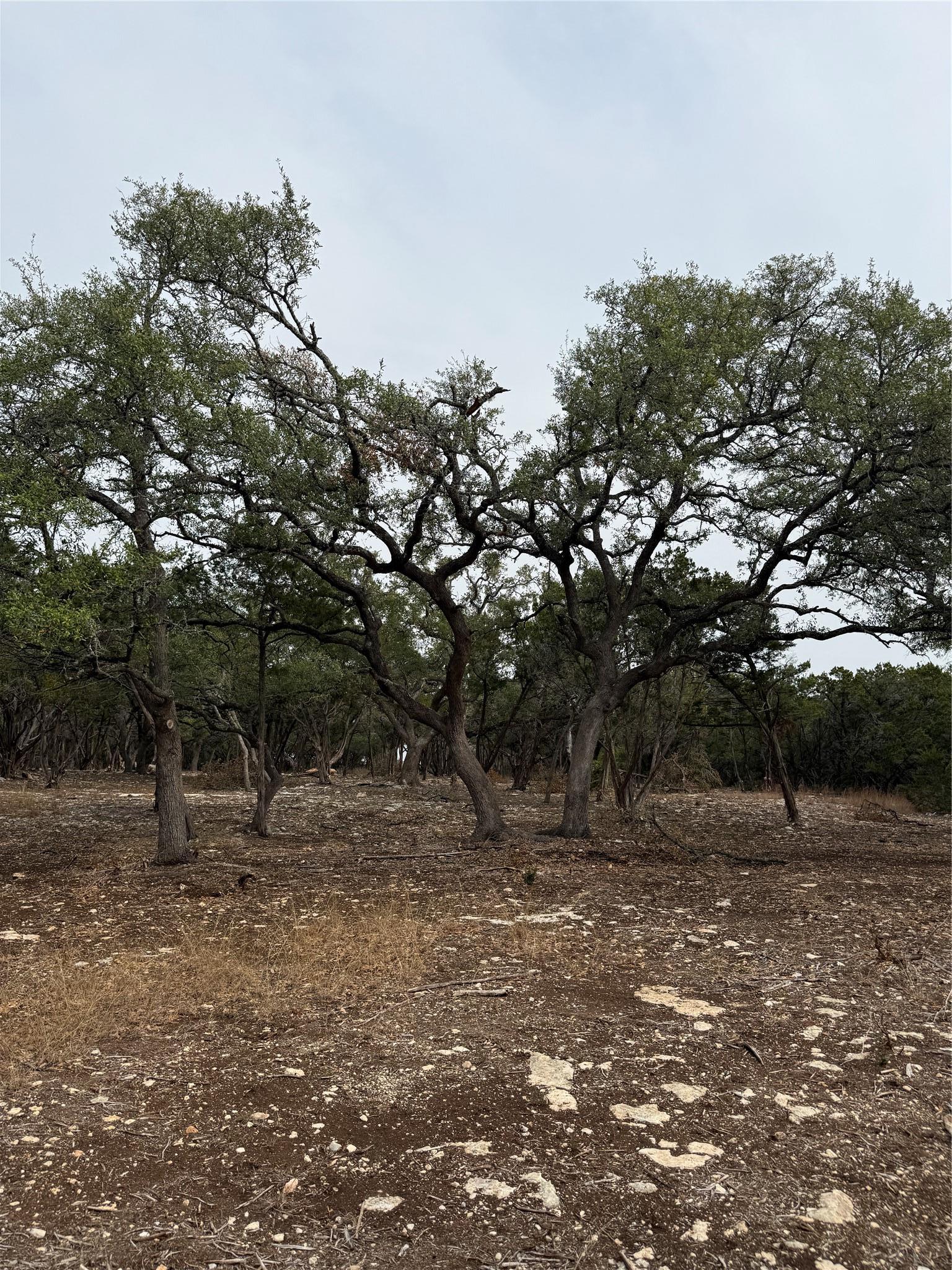 Tract 2 Pump Station Road Wimberley TX 78676