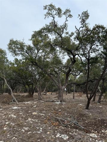 Tract 2 Pump Station Road Wimberley TX 78676