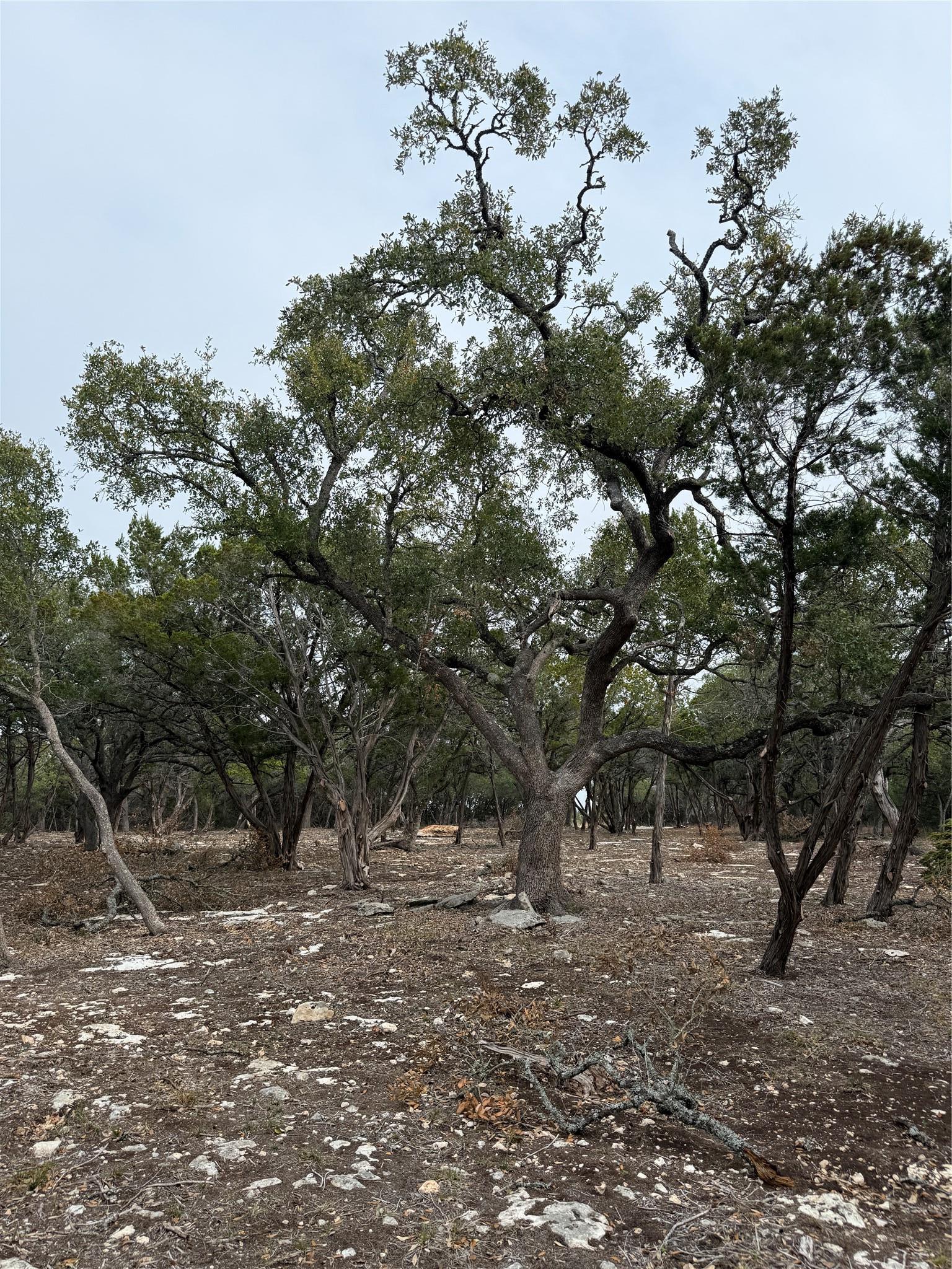 Tract 2 Pump Station Road Wimberley TX 78676
