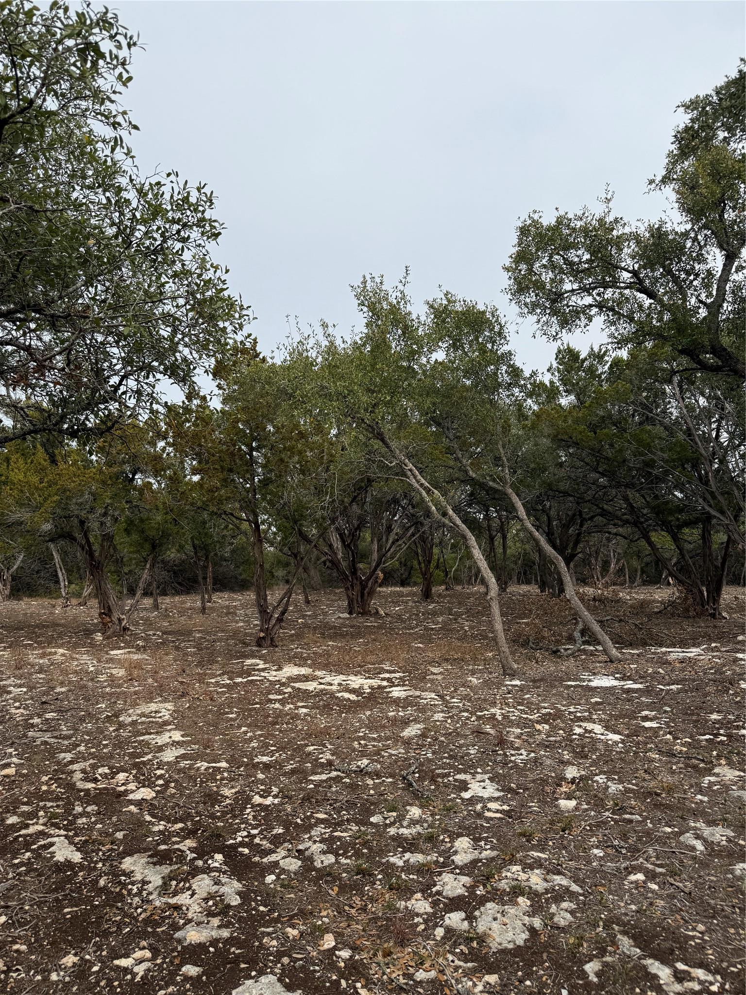 Tract 2 Pump Station Road Wimberley TX 78676