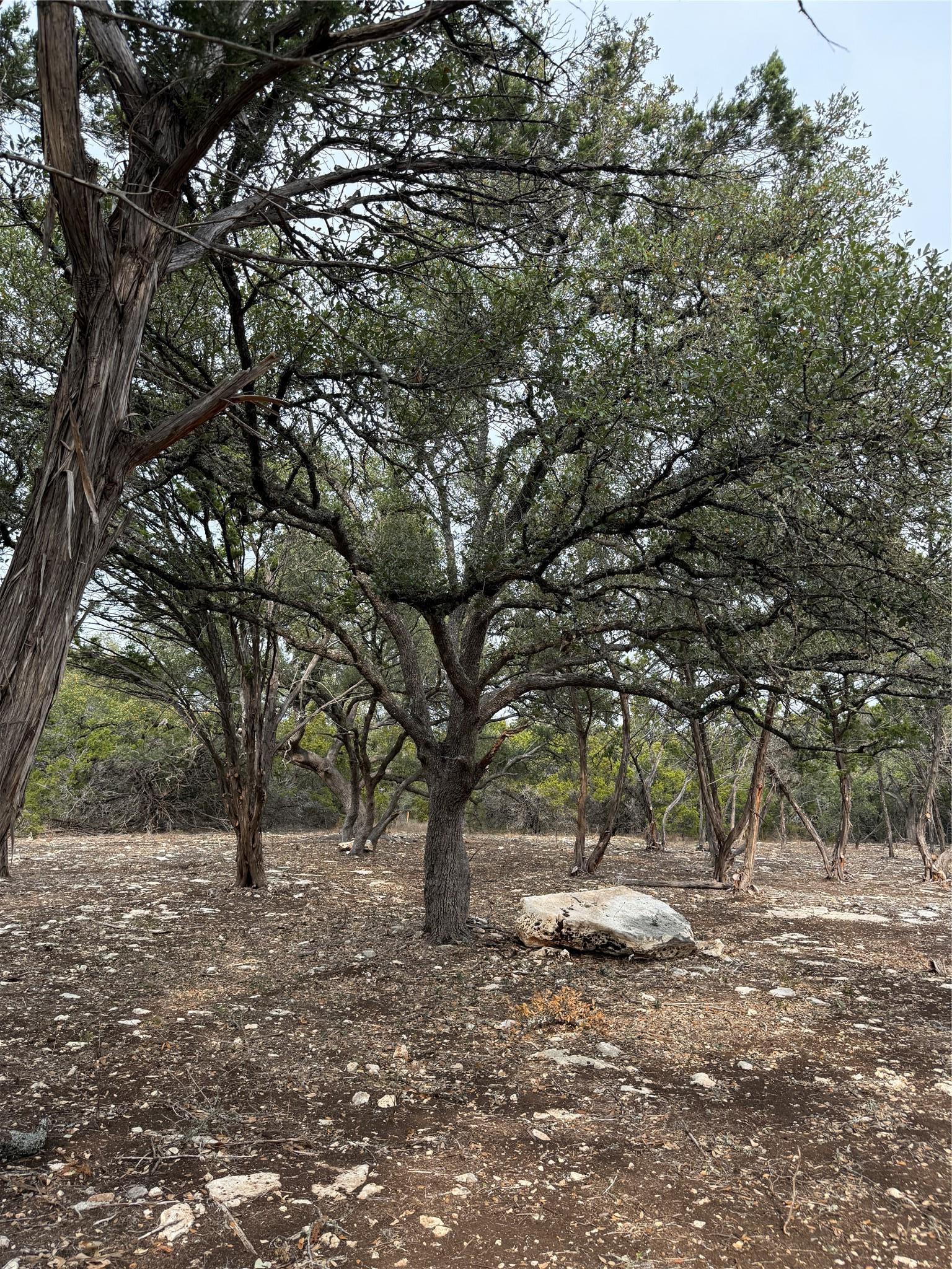 Tract 2 Pump Station Road Wimberley TX 78676