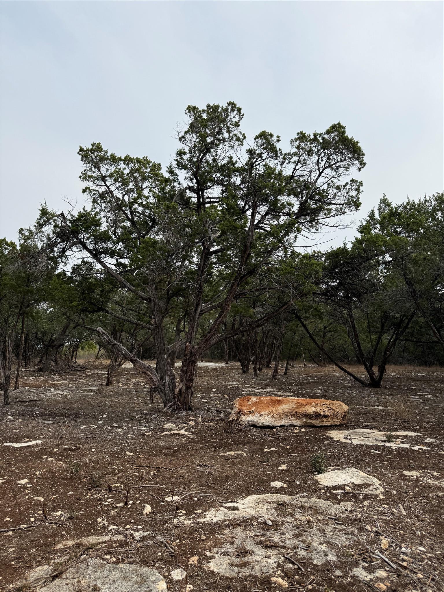 Tract 2 Pump Station Road Wimberley TX 78676