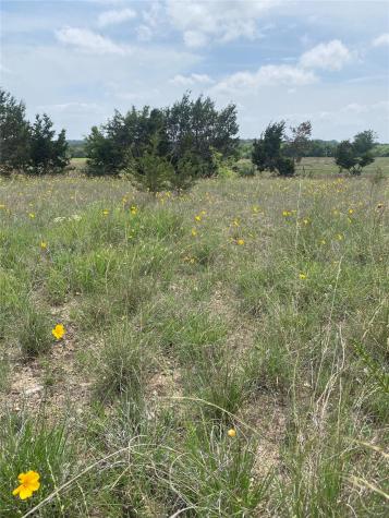 225 County Road 2227 Lampasas TX 76550