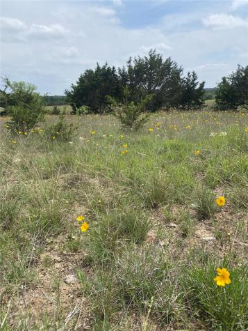 225 County Road 2227 Lampasas TX 76550