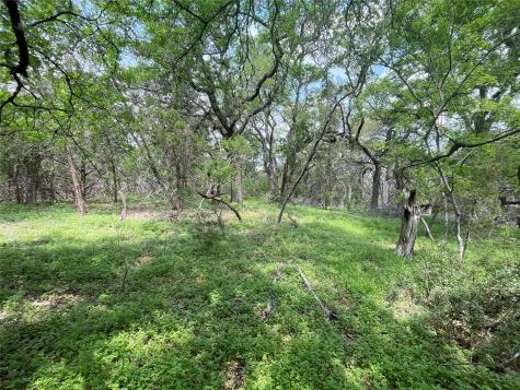 Tbd Lot 20 Piedras Pass San Marcos TX 78666