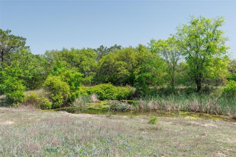 Tbd Lot 20 Piedras Pass San Marcos TX 78666