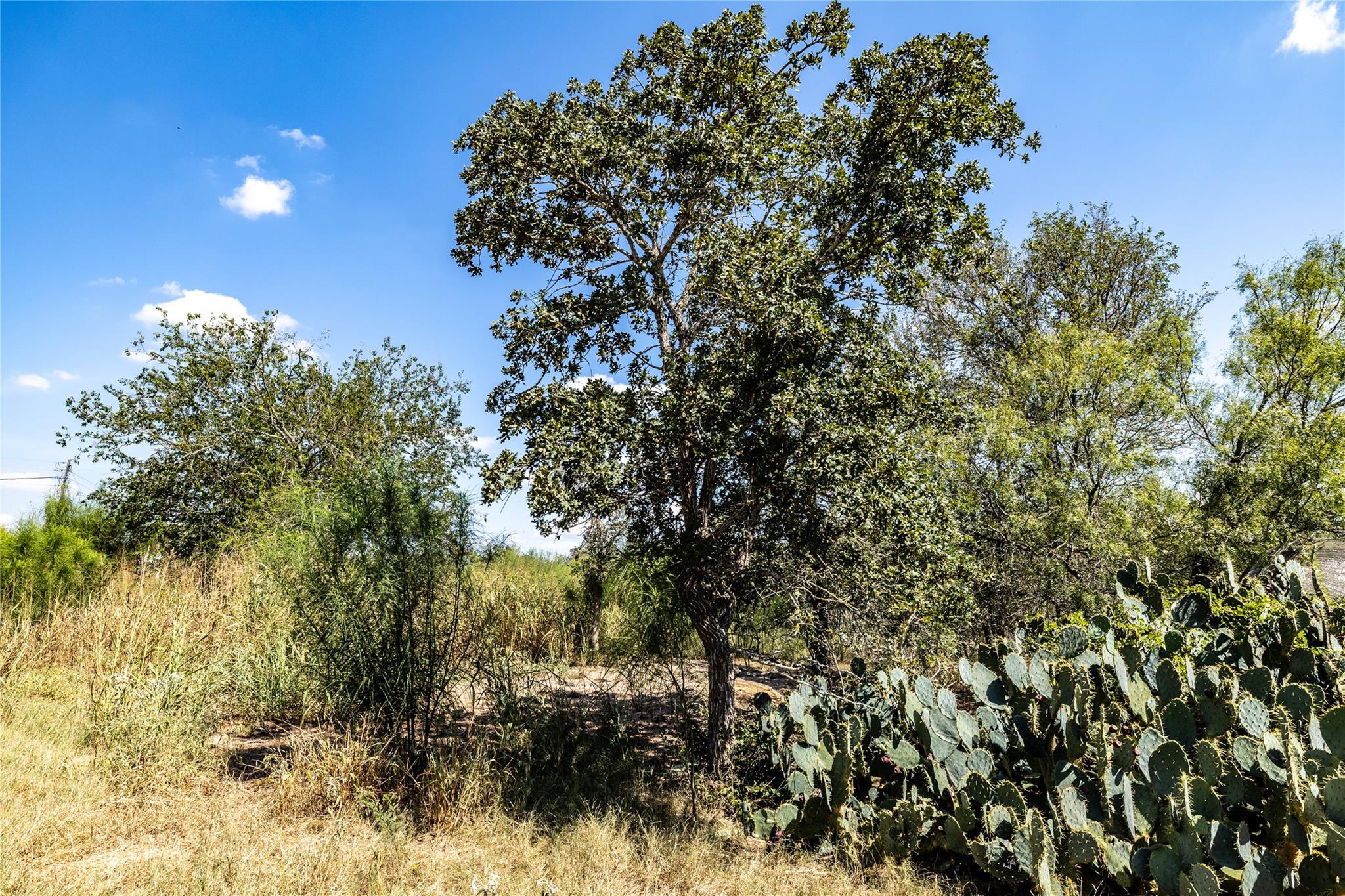 Tbd Lot 1 Track Road Dale TX 78616