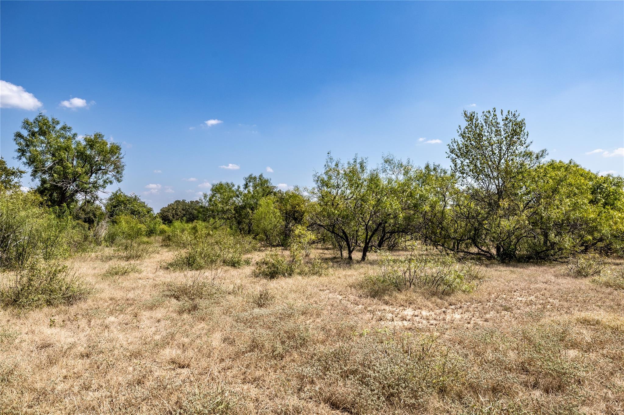 Tbd Lot 1 Track Road Dale TX 78616