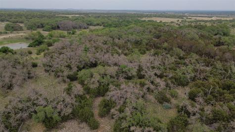 Lot 132 Shin Oak Drive Lampasas TX 76550