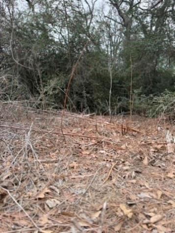 Lot 4 Yaupon Drive Caldwell TX 77836