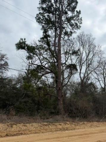 Lot 4 Yaupon Drive Caldwell TX 77836