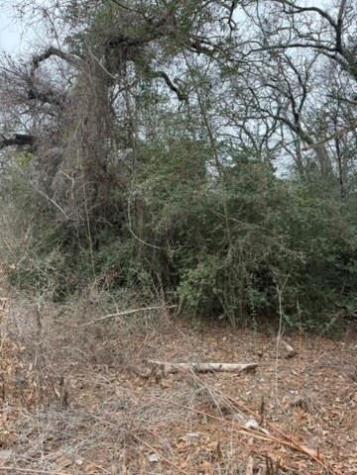 Lot 4 Yaupon Drive Caldwell TX 77836