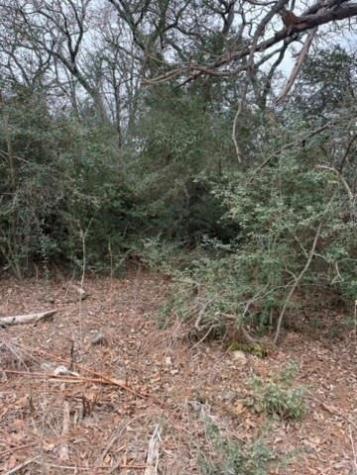 Lot 4 Yaupon Drive Caldwell TX 77836