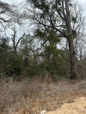 Lot 4 Yaupon Drive Caldwell TX 77836