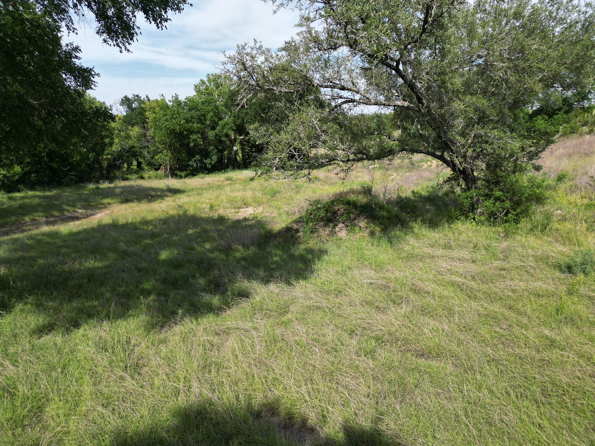 208 Serenity Drive Liberty Hill TX 78642