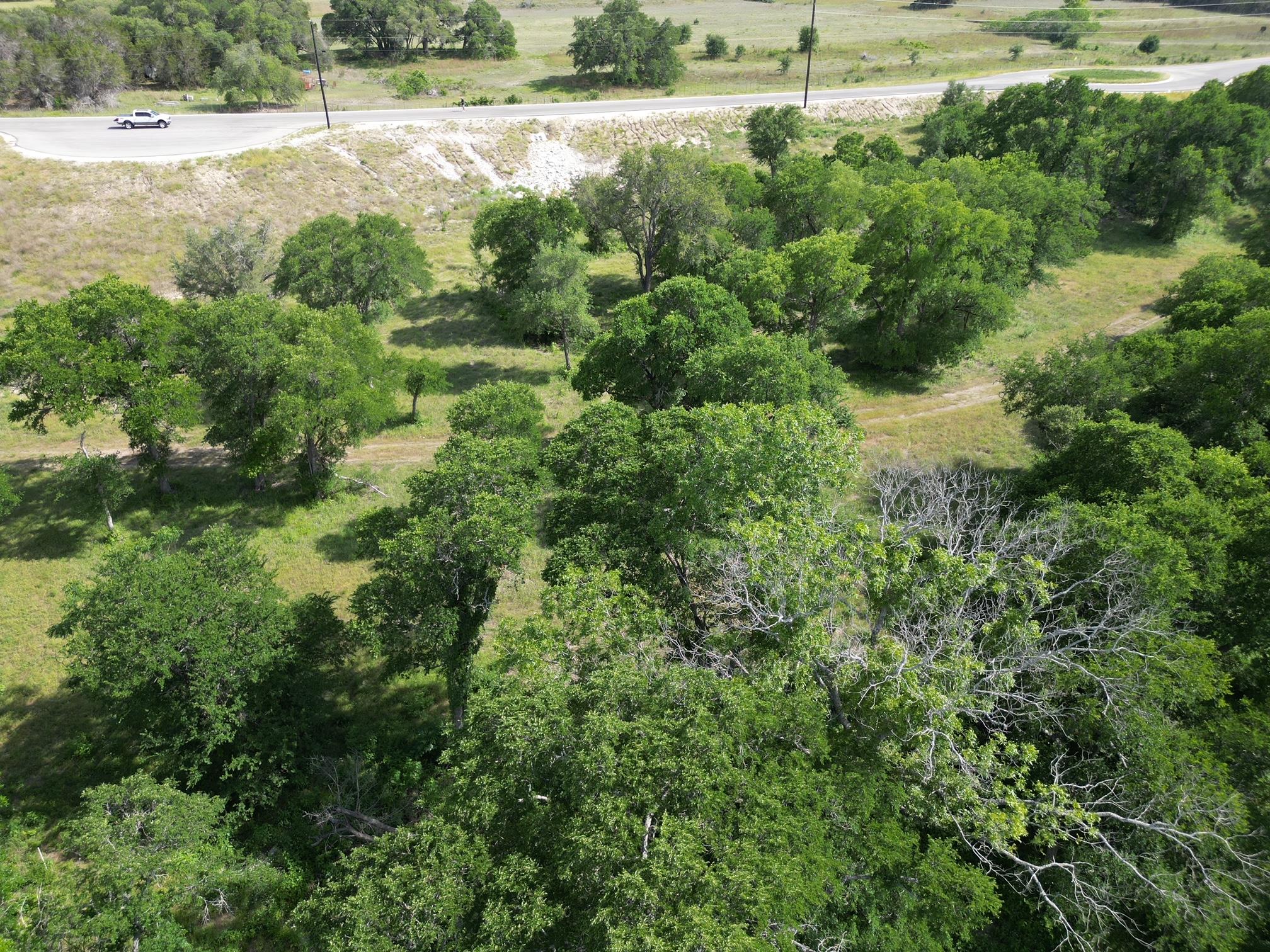 208 Serenity Drive Liberty Hill TX 78642