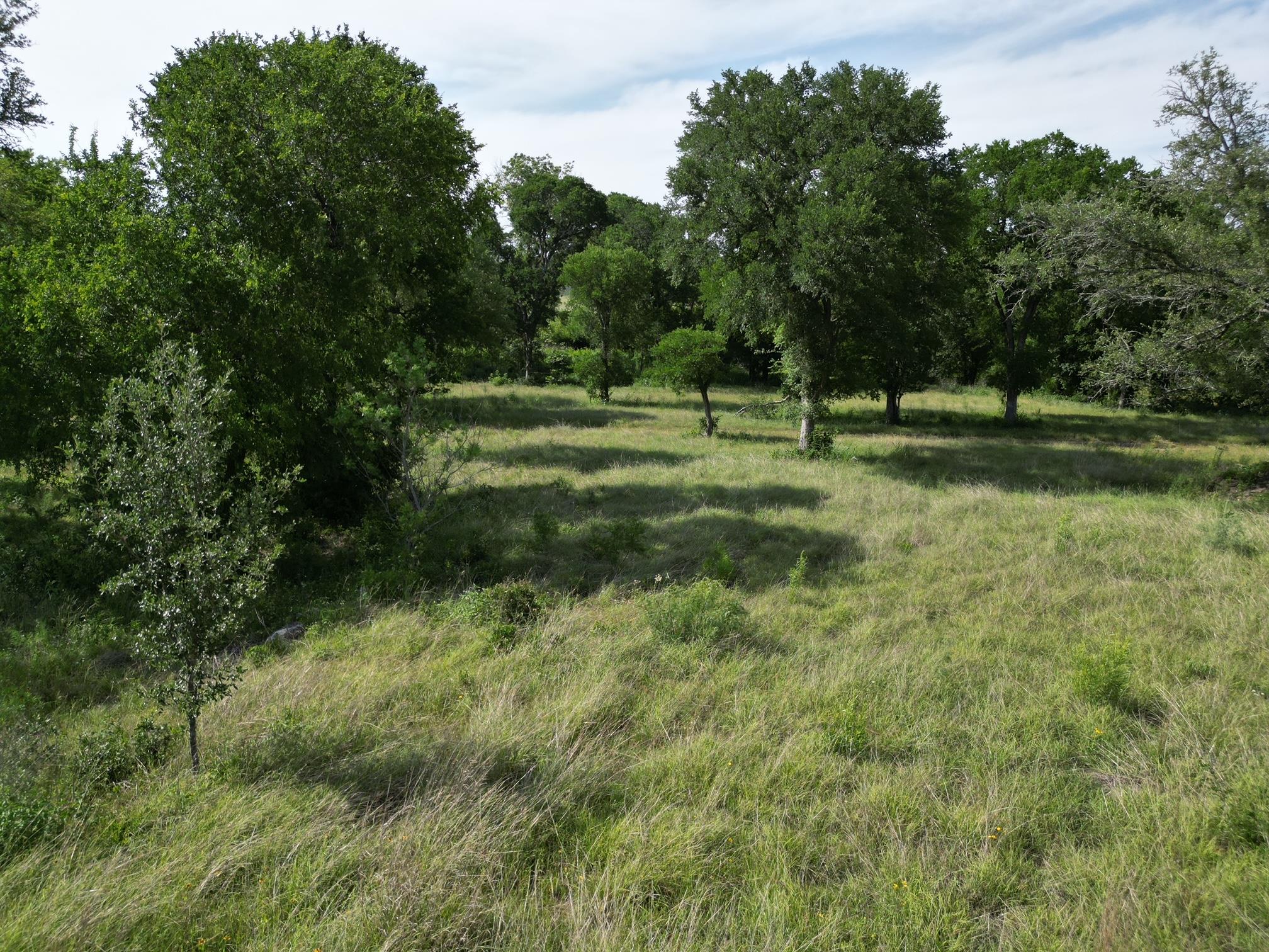 208 Serenity Drive Liberty Hill TX 78642