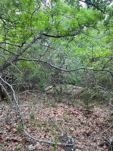 Lot 1603 Ulupau Circle Bastrop TX 78602