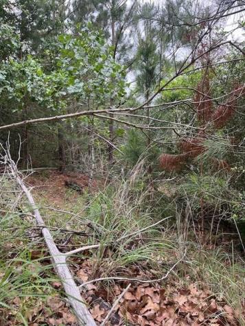 Lot 1603 Ulupau Circle Bastrop TX 78602