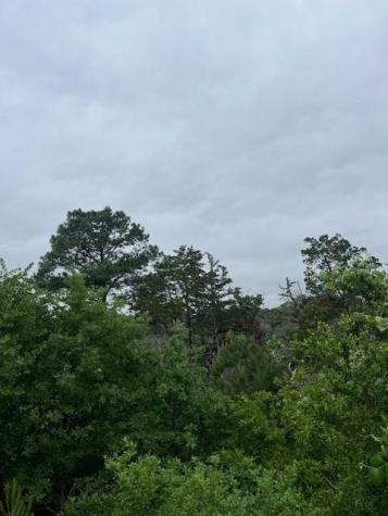 Lot 1603 Ulupau Circle Bastrop TX 78602
