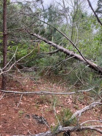 Lot 1603 Ulupau Circle Bastrop TX 78602