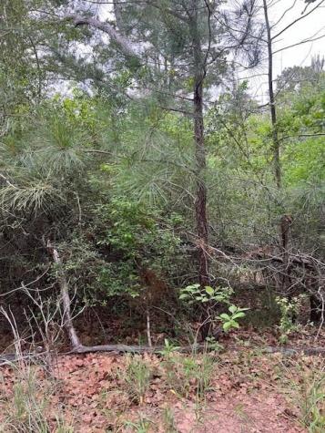 Lot 1603 Ulupau Circle Bastrop TX 78602
