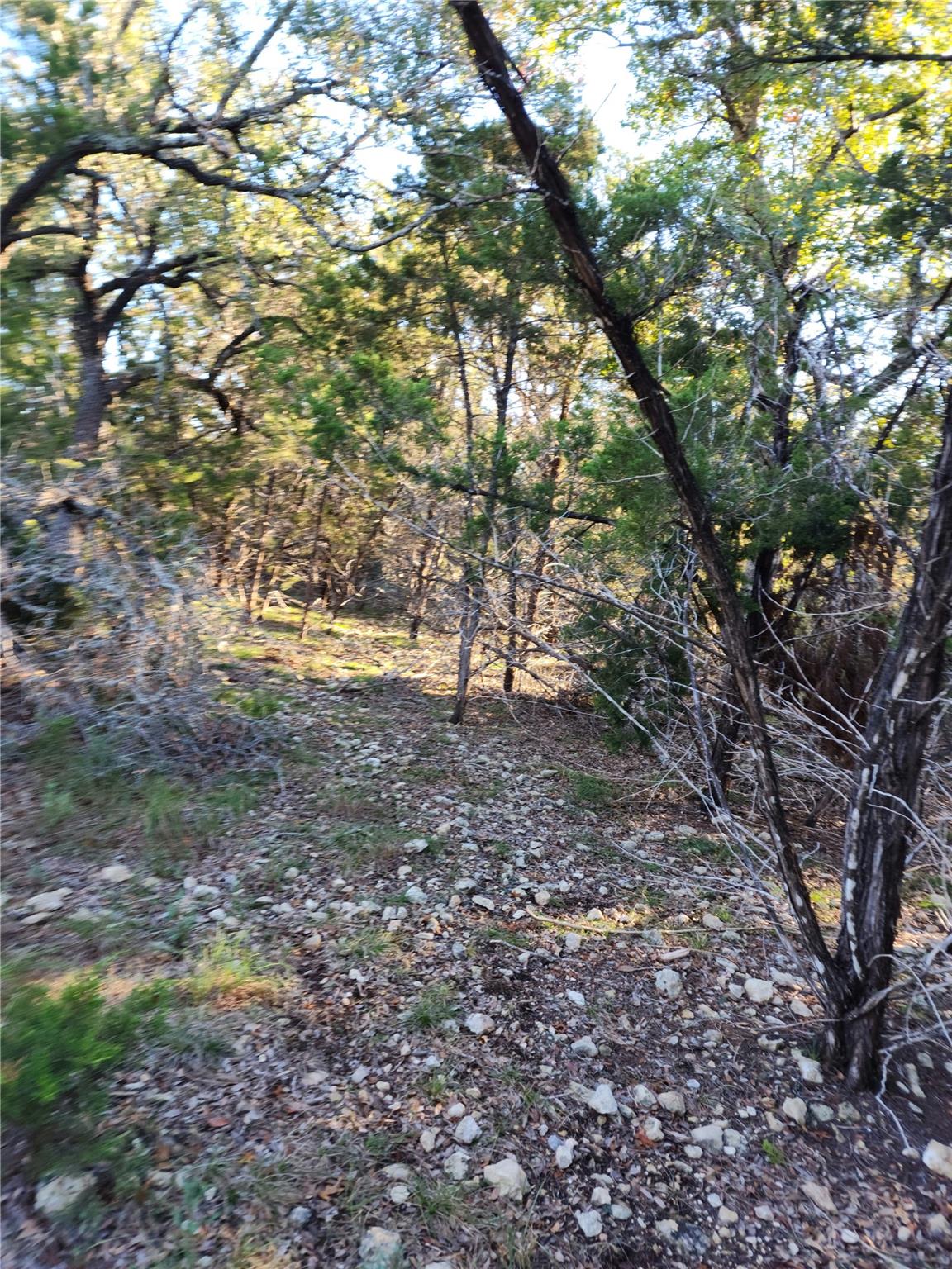 00 Apple Springs Drive Leander TX 78641