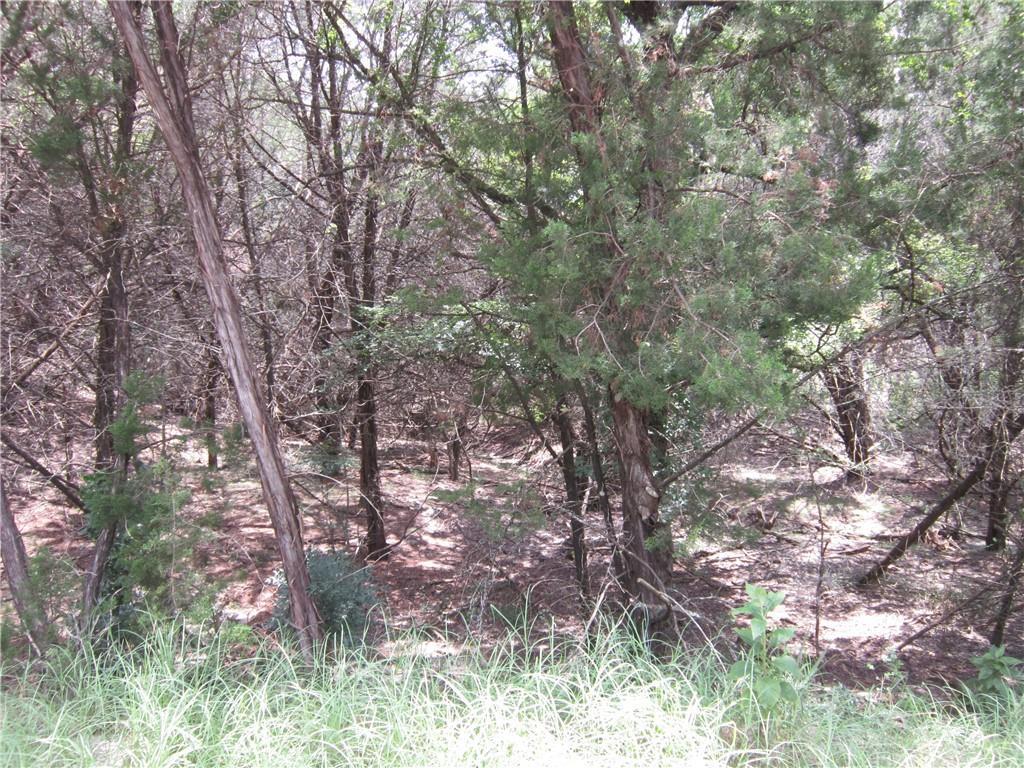 20607 El Dorado Lago Vista TX 78645
