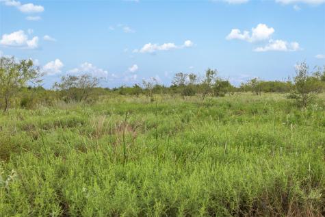 Tract 5 Tbd Lcr 390 Groesbeck TX 76642