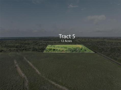 Tract 5 Tbd Lcr 390 Groesbeck TX 76642